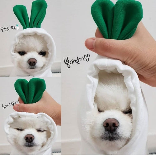 Cute Fruit Dog Clothes For Small Dogs Hoodies Winter Warm Fleece Pet