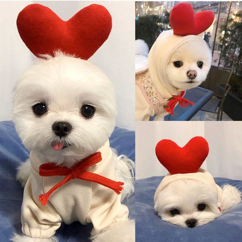 Cute Fruit Dog Clothes For Small Dogs Hoodies Winter Warm Fleece Pet