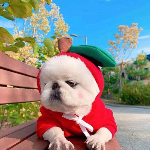Cute Fruit Dog Clothes For Small Dogs Hoodies Winter Warm Fleece Pet