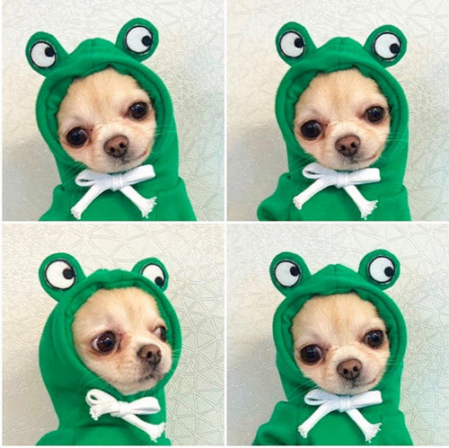 Cute Fruit Dog Clothes For Small Dogs Hoodies Winter Warm Fleece Pet