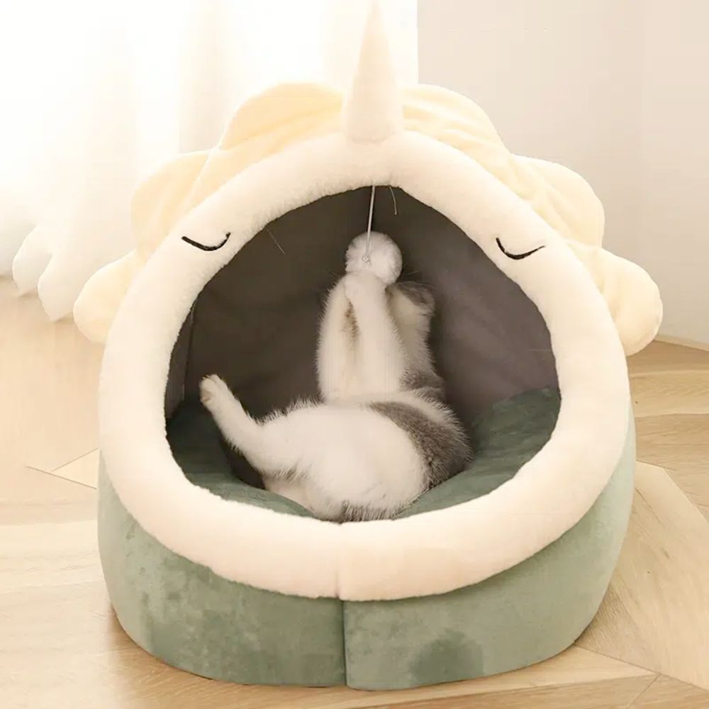 Dinosaur Pet House with Built-In Toy – Must-Have for Pets