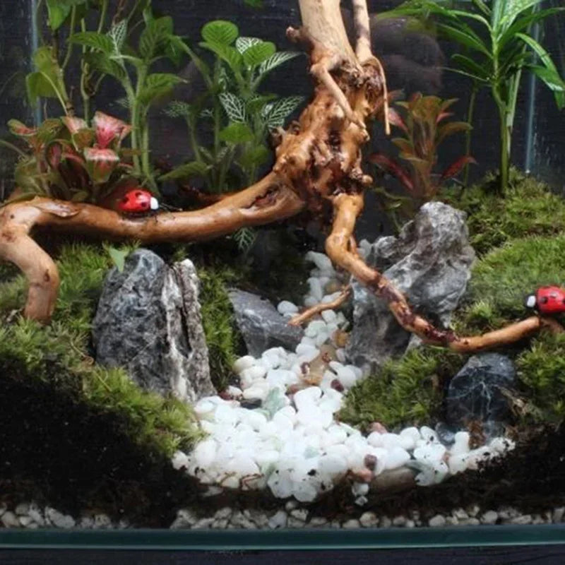Decorative Driftwood Roots – Safe for Aquariums & Reptile Habitats