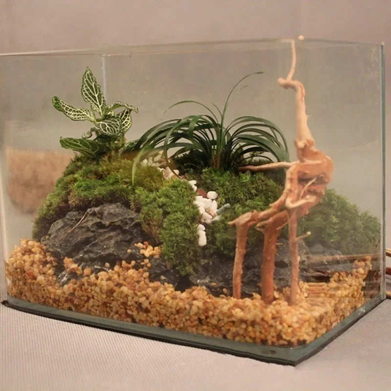 Decorative Driftwood Roots – Safe for Aquariums & Reptile Habitats