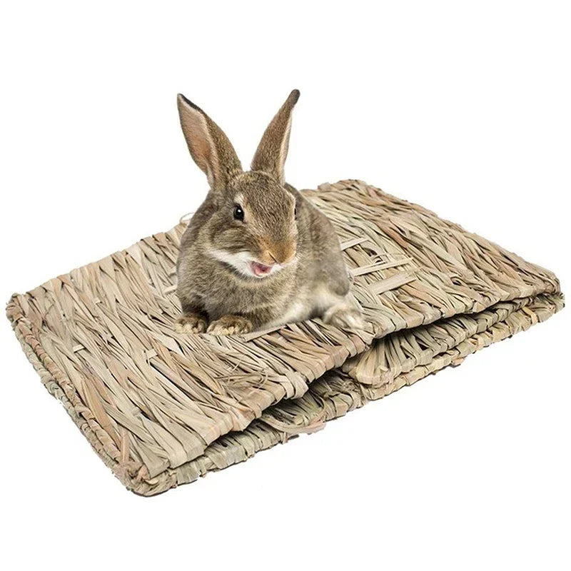 Foldable Woven Grass House for Small Pets