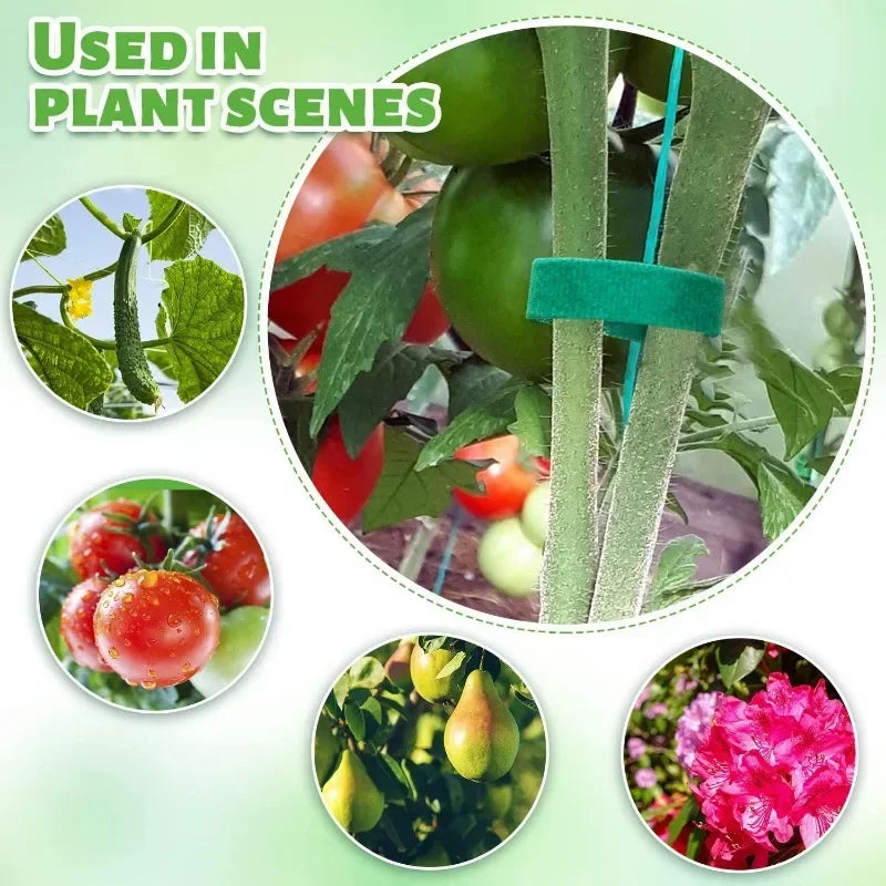 Adjustable Plant Bandage Straps – Nylon Hook Tie