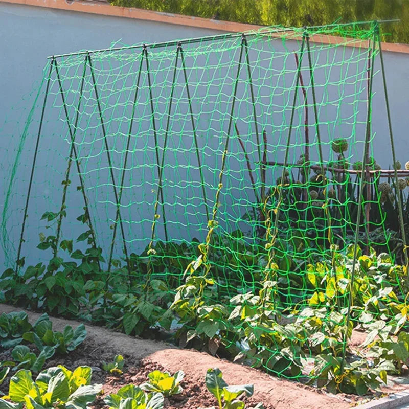 Heavy-Duty Garden Trellis – Polyester Grow Net for Climbing Plants