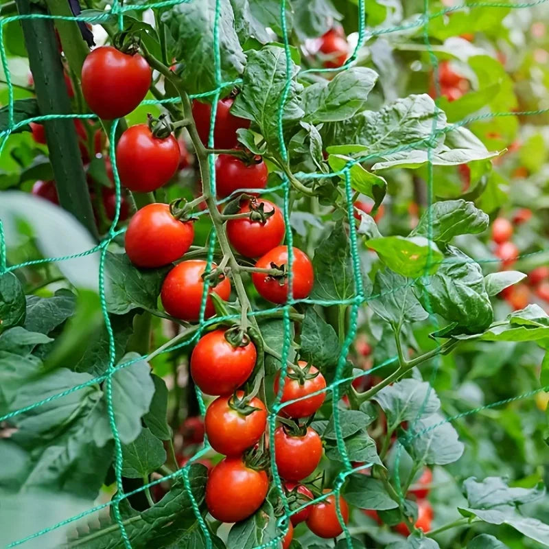 Heavy-Duty Garden Trellis – Polyester Grow Net for Climbing Plants