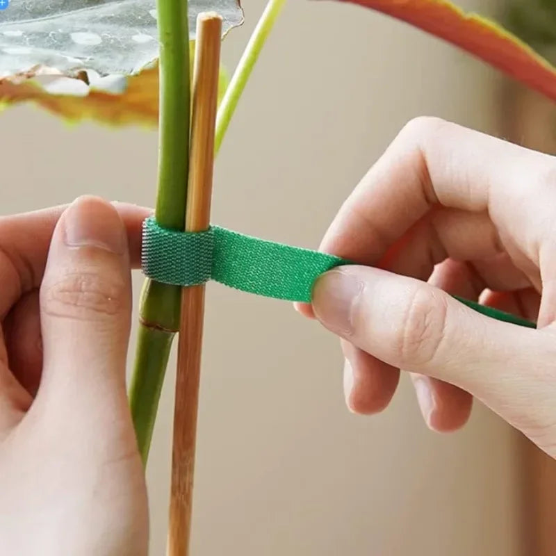Adjustable Plant Bandage Straps – Nylon Hook Tie
