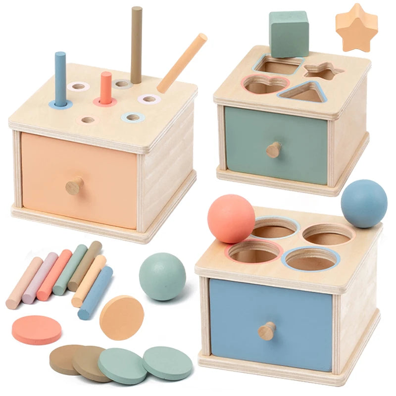 Kids' Wooden Shape Sorting & Matching Toy