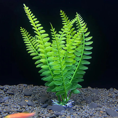 7.08 inch Fish Tank Simulation Plant Aquarium Artificial Decor Plants