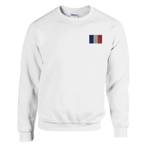 Sweatshirt with the French flag in embroidery