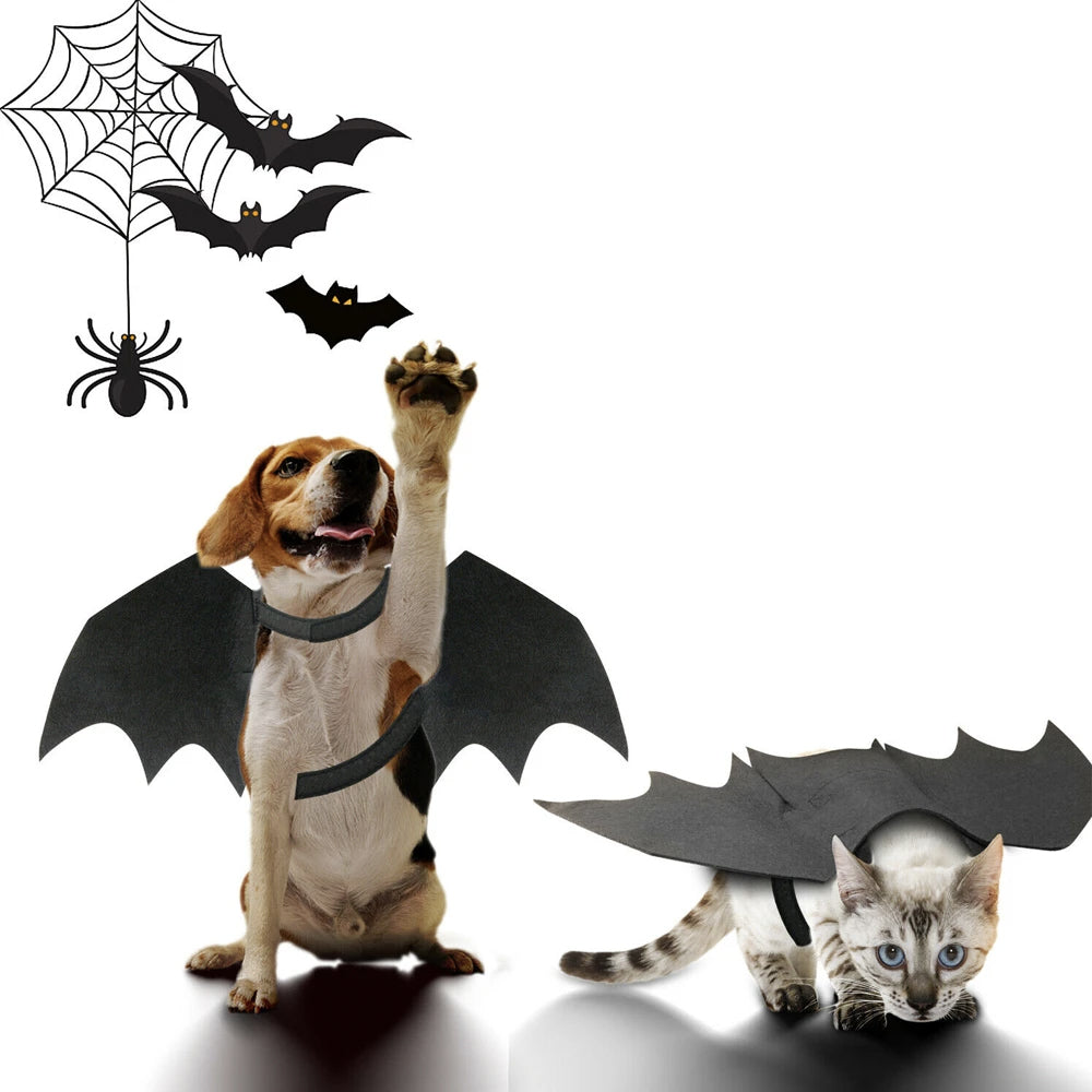 Halloween Pet Costume – Bat Wings for Cats & Dogs