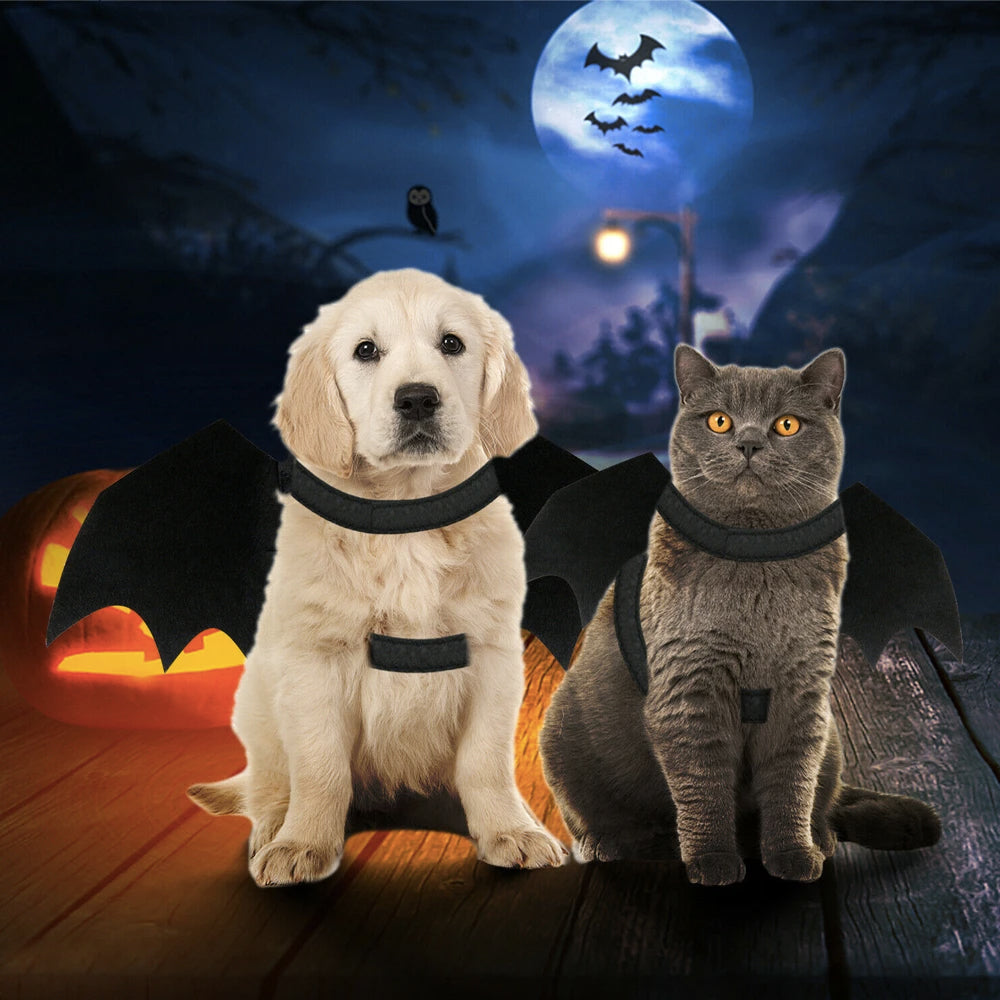Halloween Pet Costume – Bat Wings for Cats & Dogs