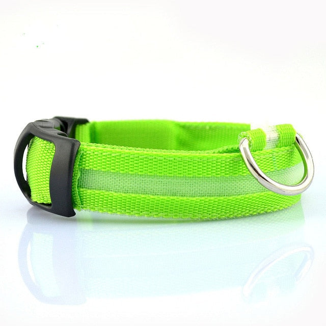 2-Piece LED Dog Collar Set – Adjustable Nylon, Night Safety
