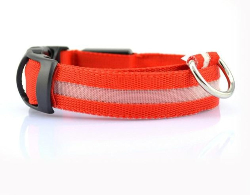 2-Piece LED Dog Collar Set – Adjustable Nylon, Night Safety