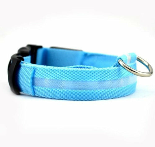 2-Piece LED Dog Collar Set – Adjustable Nylon, Night Safety