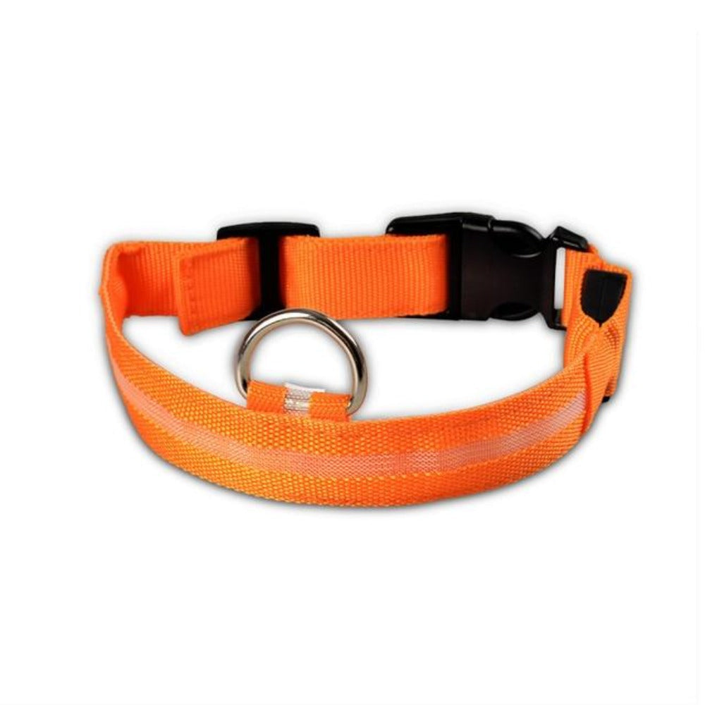 2-Piece LED Dog Collar Set – Adjustable Nylon, Night Safety