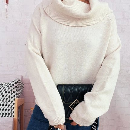 Striped Turtleneck Long Sleeve Sweater