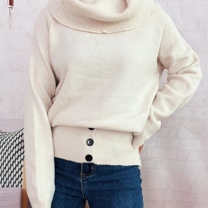 Striped Turtleneck Long Sleeve Sweater
