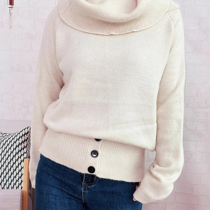 Striped Turtleneck Long Sleeve Sweater