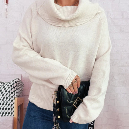 Striped Turtleneck Long Sleeve Sweater