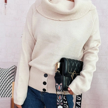 Striped Turtleneck Long Sleeve Sweater