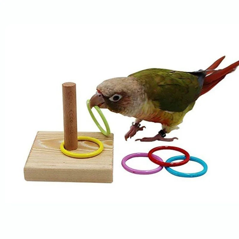 Bird Training Ring Toy Parrot Educational Toys Training Interactive