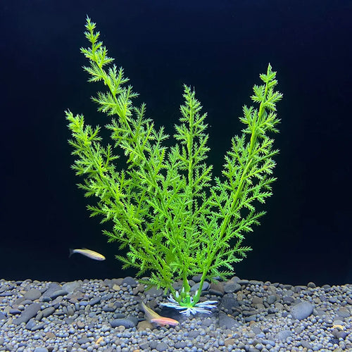 7.08 inch Fish Tank Simulation Plant Aquarium Artificial Decor Plants