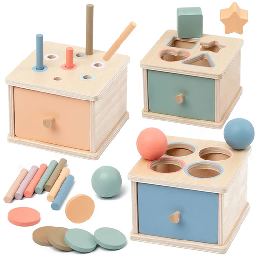 Kids' Wooden Shape Sorting & Matching Toy