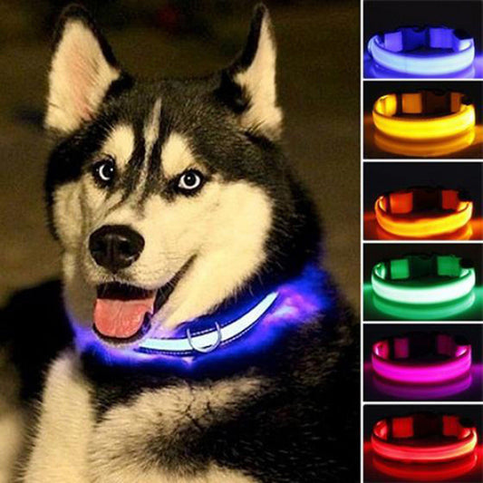 2-Piece LED Dog Collar Set – Adjustable Nylon, Night Safety