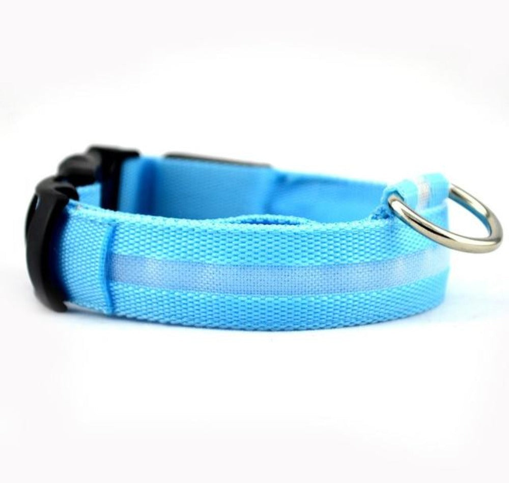 2-Piece LED Dog Collar Set – Adjustable Nylon, Night Safety