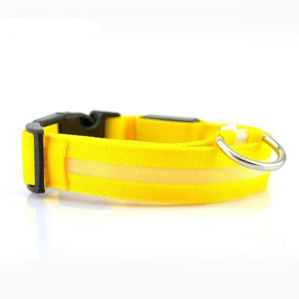 2-Piece LED Dog Collar Set – Adjustable Nylon, Night Safety