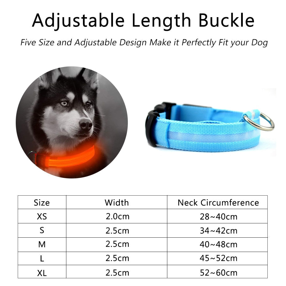 2-Piece LED Dog Collar Set – Adjustable Nylon, Night Safety